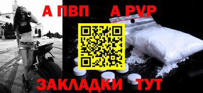 стаф Кинель
