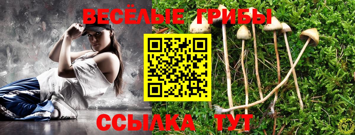 Галлюциногенные грибы прущие грибы  Вход с VPN  Псилоцибиновые грибы Psilocybine cubensis  Нижнекамск 